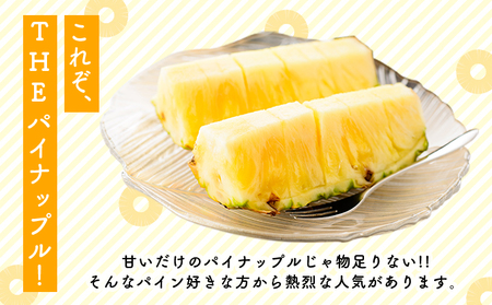 2025年 先行予約 島パイン (ハワイ種) 約3kg 2~4玉 2025年 先行予約 島パイン (ハワイ種) 約3kg 2~4玉