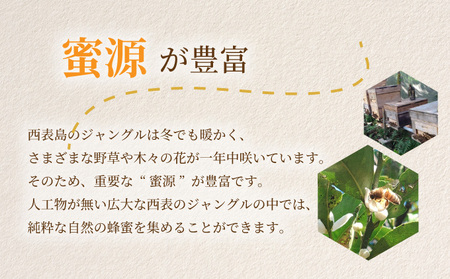 Sunshine Honey Iriomote（サンシャインハニー西表）