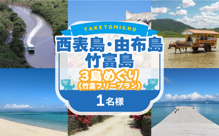 西表島・由布島・竹富島3島めぐり(竹富フリープラン)【沖縄県,竹富町,ふるさと納税,旅行,アクティビティ,ツアー,クーポン,観光チケット,チケット,観光,クルーズ,フリープラン,水牛,水牛車,西表島,由布島,竹富島】