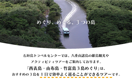 西表島・由布島・竹富島3島めぐり(竹富フリープラン)【沖縄県,竹富町,ふるさと納税,旅行,アクティビティ,ツアー,クーポン,観光チケット,チケット,観光,クルーズ,フリープラン,水牛,水牛車,西表島,由布島,竹富島】