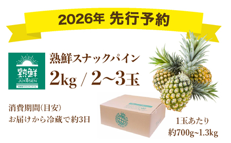 手でちぎって食べる楽しさ】熟鮮スナックパイン2kg（2～3玉）2026年