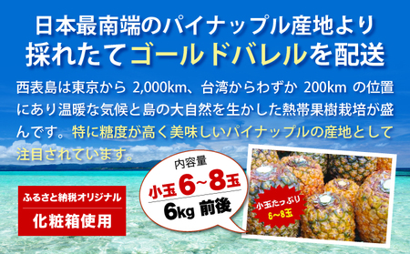 【2026年発送】ゴールドバレルたっぷり小玉セット