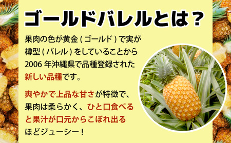 【2026年発送】ゴールドバレルたっぷり小玉セット