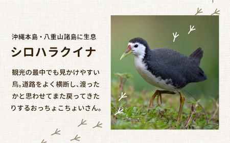 ビームパリ窯 シロハラクイナシリーズ マグカップ黒