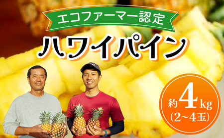 《2026年先行予約》ハワイパイン約4kg 【お届け：2026年6月中旬?7月下旬】【農園ファイミール 完熟 果物 フルーツ パイン パイナップル】