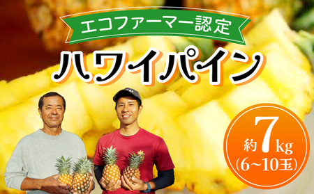 《2026年先行予約》ハワイパイン約7kg 【お届け：2026年6月中旬?7月下旬】【農園ファイミール 完熟 果物 フルーツ パイン パイナップル】