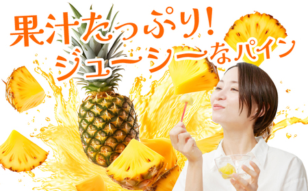 《2026年先行予約》ハワイパイン約7kg 【お届け：2026年6月中旬?7月下旬】【農園ファイミール 完熟 果物 フルーツ パイン パイナップル】