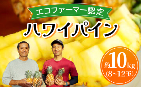 《2026年先行予約》ハワイパイン約10kg 【お届け：2026年6月中旬?7月下旬】【農園ファイミール 完熟 果物 フルーツ パイン パイナップル】