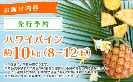 《2026年先行予約》ハワイパイン約10kg 【お届け：2026年6月中旬?7月下旬】【農園ファイミール 完熟 果物 フルーツ パイン パイナップル】