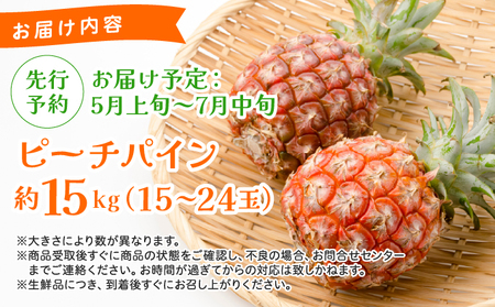《2026年先行予約》ピーチパイン 約15kg 15～24玉 農園ファイミール 完熟 果物 フルーツ