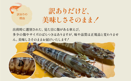 訳あり 冷凍車えび 規格外品 1kg