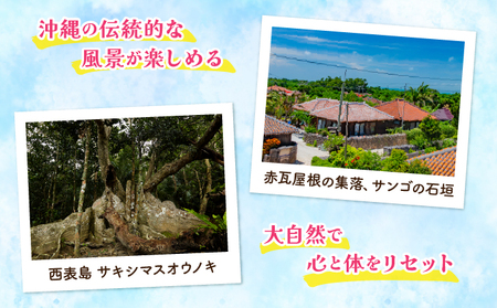 沖縄県竹富町 日本空輸株式会社 旅行クーポン 6,000円分