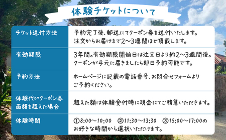 じーまみ豆腐作り体験【058-a001】