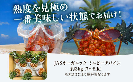 2026年 先行予約 パイナップル ついに実現！転換期間中　JASオーガニック ミニピーチ 3kg (7～8玉) 023-a024_2026