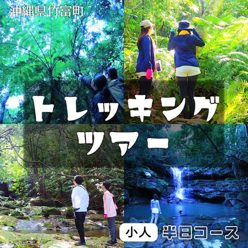 西表島 半日森林浴滝トレッキングツアー【体験可能期間:11月1日～4月30日】小人1名分