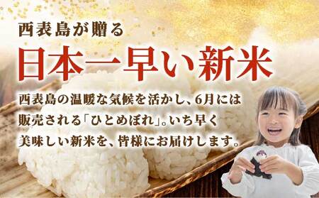 新米ひとめぼれ(白米)20kg