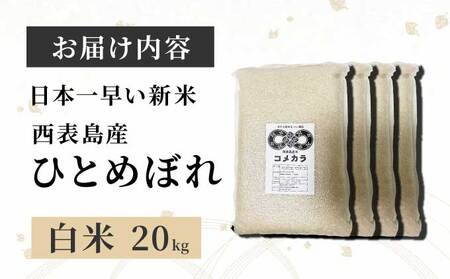 新米ひとめぼれ(白米)20kg