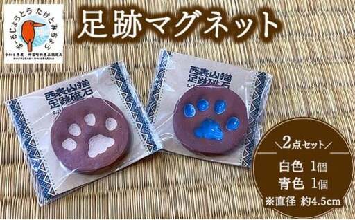 足跡マグネット