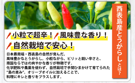 コーレーガーリックオイル