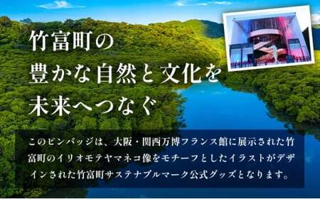 竹富町公式サステナブルマークピンバッジ【白】（マグネットタイプ）