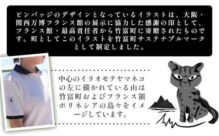 竹富町公式サステナブルマークピンバッジ【白】（マグネットタイプ）