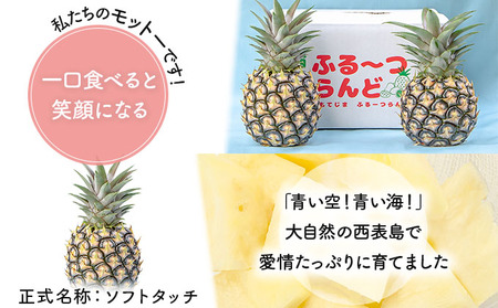 2026年 先行予約 ピーチパイン 約6kg 7~9玉 甘熟 西表島ふる~つらんど 不動の人気No.1 果物 フルーツ パイン