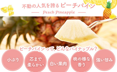 2026年 先行予約 ピーチパイン 約6kg 7~9玉 甘熟 西表島ふる~つらんど 不動の人気No.1 果物 フルーツ パイン