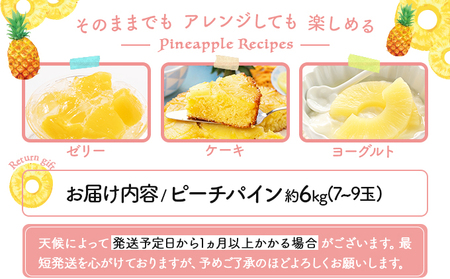 2026年 先行予約 ピーチパイン 約6kg 7~9玉 甘熟 西表島ふる~つらんど 不動の人気No.1 果物 フルーツ パイン