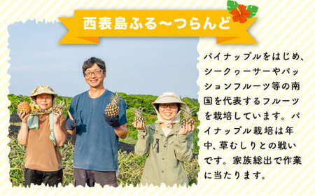 小玉 ピーチパイン 約5kg 