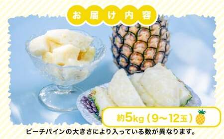 小玉 ピーチパイン 約5kg 