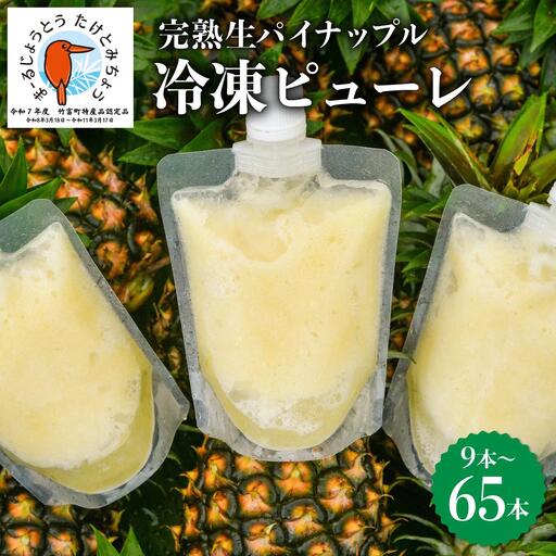 水なし、加熱なし、砂糖なし！天然まるごと！完熟生パイナップル冷凍ピューレ200ml×65本セット