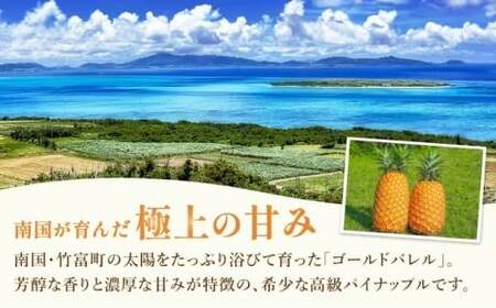 パイナップルの最高峰ゴールドバレル1.5kg(1玉)