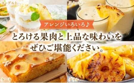 パイナップルの最高峰ゴールドバレル1.5kg(1玉)