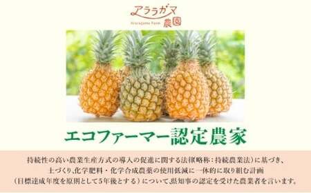 パイナップルの最高峰ゴールドバレル1.5kg(1玉)