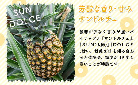 高級パイナップル 芳醇な香りと甘み サンドルチェ 約2.5kg（2～3玉）