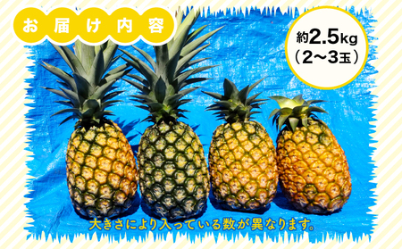 高級パイナップル 芳醇な香りと甘み サンドルチェ 約2.5kg（2～3玉）