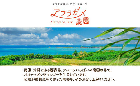 リピート率No.1!パイナップル4種類&マンゴー&生ジュースを5回にわけて毎月お届け!