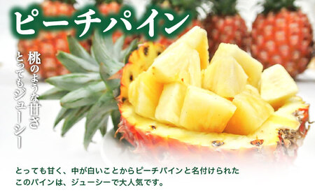 リピート率No.1!パイナップル4種類&マンゴー&生ジュースを5回にわけて毎月お届け!