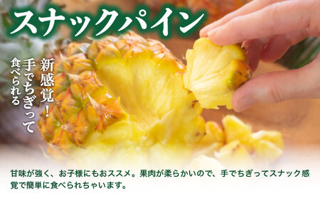 リピート率No.1!パイナップル4種類&マンゴー&生ジュースを5回にわけて毎月お届け!