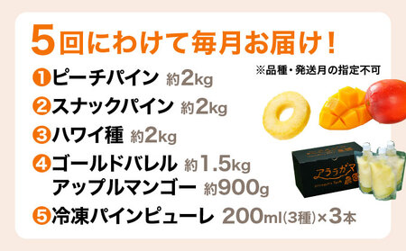 リピート率No.1!パイナップル4種類&マンゴー&生ジュースを5回にわけて毎月お届け!