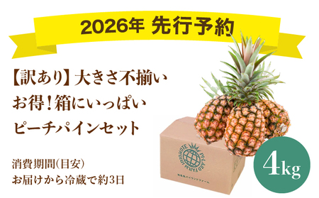 ＜訳あり！＞2026年 先行予約 大きさ不揃い お得！箱にいっぱいピーチパイン4kgセット
