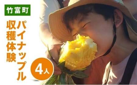 パイナップル収穫体験【4名】爽やかな朝日を浴びた中での開催♪（4月25日～6月15日開催）