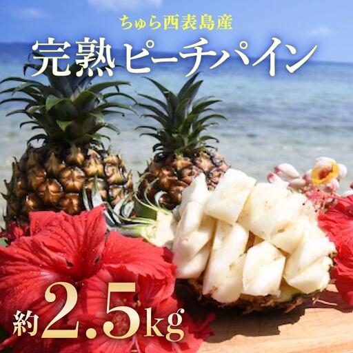 2026年 先行予約 ピーチパイン 約2.5kg 3～5玉 ちゅら西表島産!! ゆたか農園 完熟 パイン 果物 フルーツ パイナップル