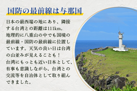 【返礼品なし】日本最西端の地 与那国島の未来の為の応援寄附(10000円) 国境の島 与那国町 返礼品無し Y004
