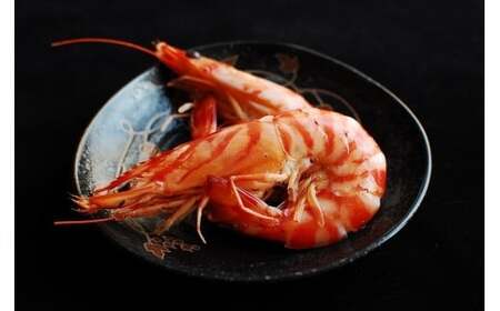 【12/10迄の申込で年内発送】こだわりの車海老 有頭車海老（冷凍）250ｇ×3パック（合計750g）F009