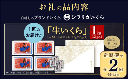 年2回お届け定期便 シラリカいくら（生いくら）【1kg（250g×4）】 〔お好みに味付けができます〕_K110-0925