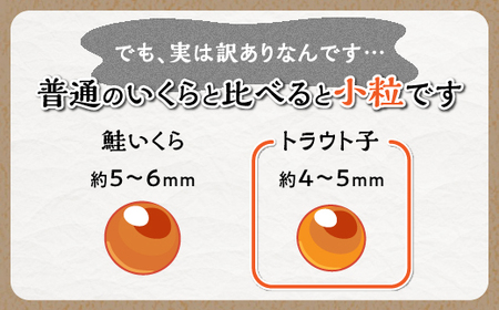 【訳あり】ひめしずく 400g(200g×2) いくら醤油漬け 小分けパック_I009-0944