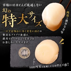 ホタテ 特大サイズ 750g ( 250g × 3 ) オホーツク産 お刺身用 ほたて オホーツク産 お刺身用 帆立 貝柱 小分け 海鮮丼 ふるさと 人気 ランキング 北海道 白糠町_K015-1323-60DAYS