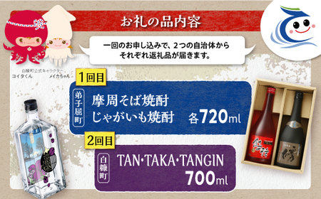 【定期便】焼酎2種 × クラフトジン 飲み比べ セット_I021-1395