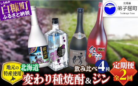 【定期便】焼酎３種 × クラフトジン 飲み比べ 720ml 6本 700ml セット_I031-1393